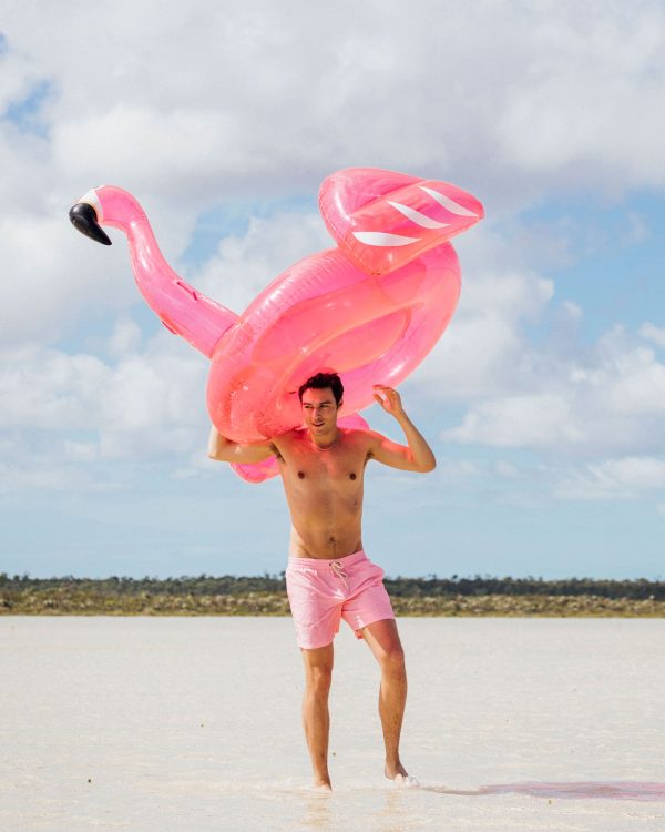 Flamingo Pool Float - Image 3