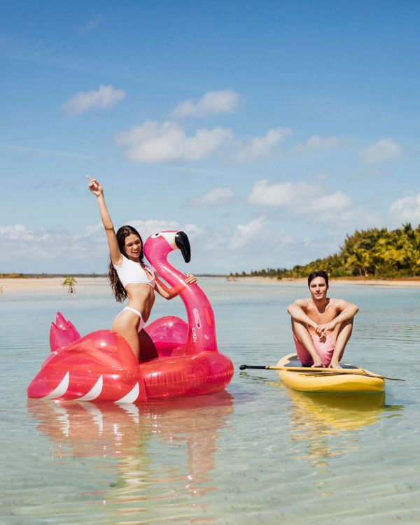 Flamingo Pool Float - Image 2