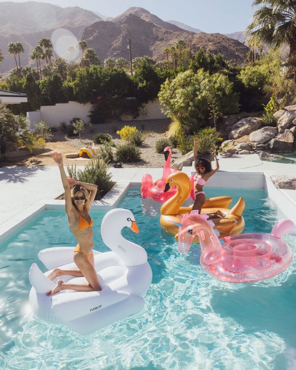 Swan Pool Float - Image 2